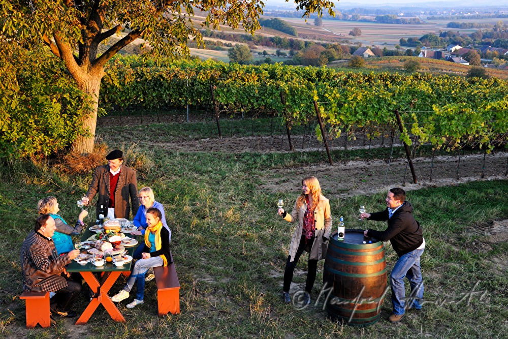 family celebration in the vineyard