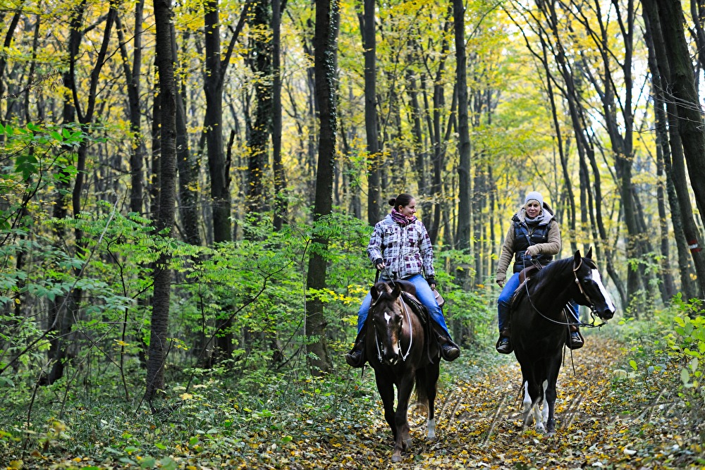 riders in the autumnally coloured forest