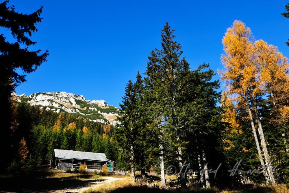 alpine hut on the Preiner Gscheid