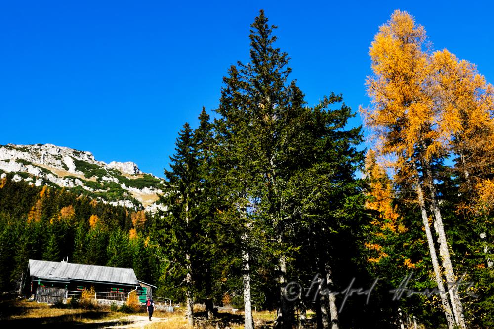 alpine hut on the Preiner Gscheid