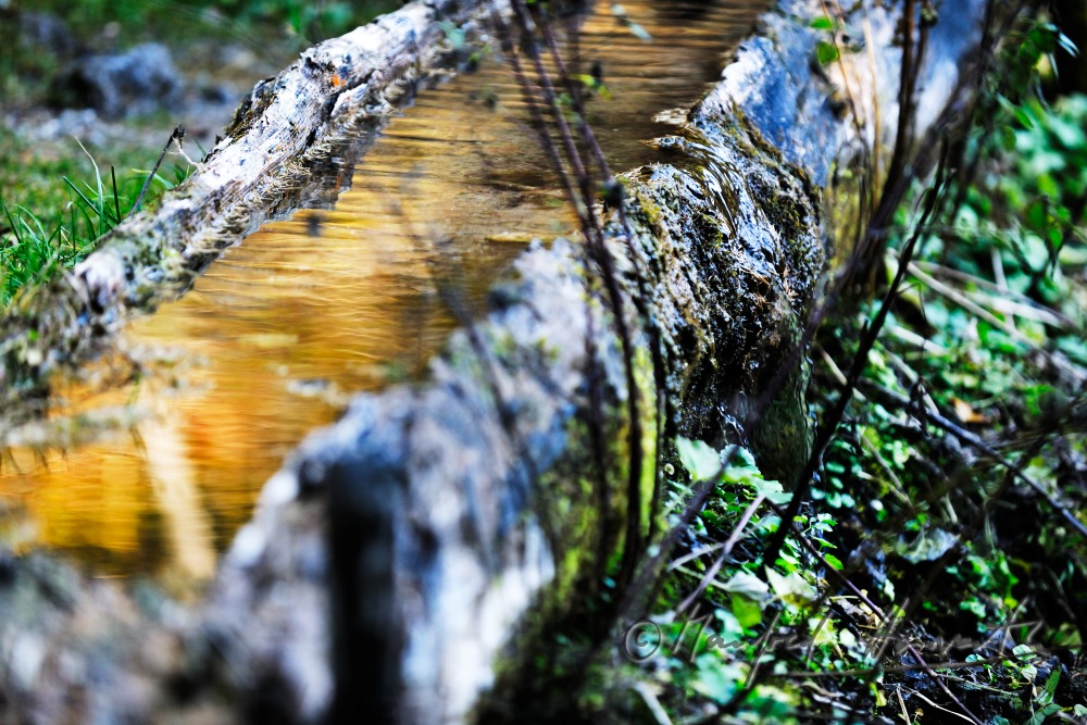 mountain spring water at the Preiner Gscheid
