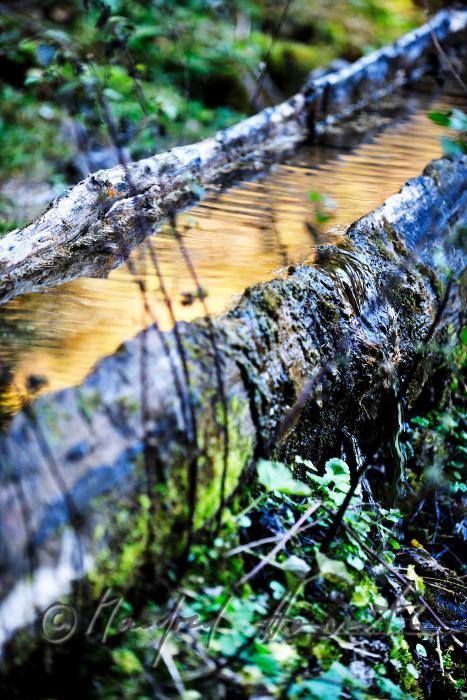 mountain spring water at the Preiner Gscheid