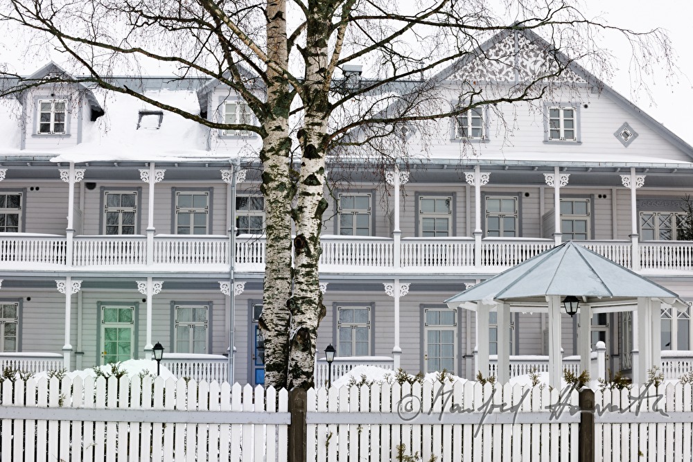 birches and Hotel Promenaadi
