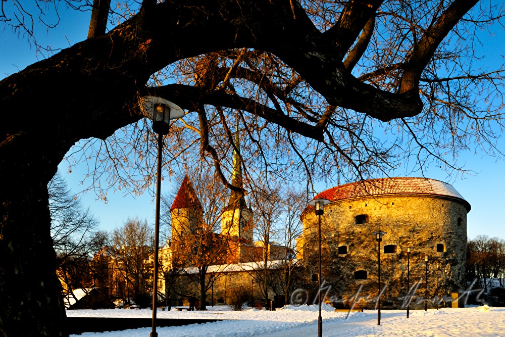 Powder Tower and St. Olaf’s Church