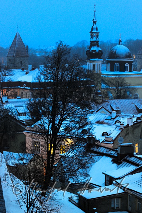 view from Toompea to the Towers of Viru Gate