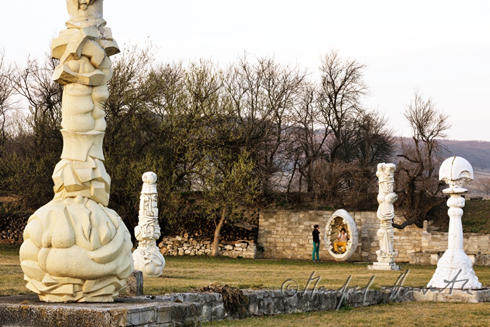 sculpture park of Wander Bertoni