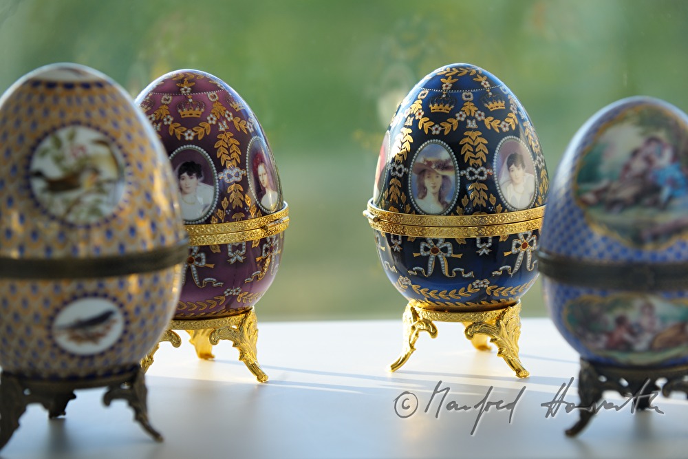 eggs in the Egg Museum of Wander Bertoni