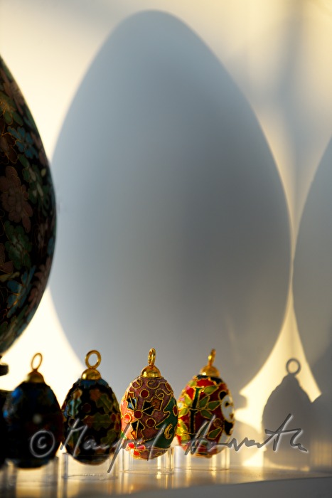 eggs in the Egg Museum of Wander Bertoni