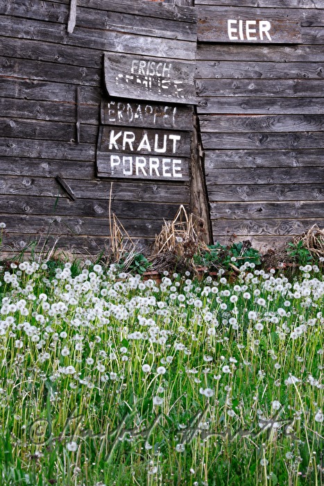 advertising for the sale of vegetables