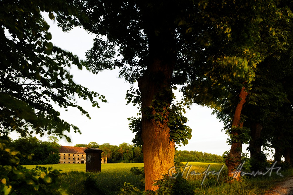 granary of  Castle Ernstbrunn