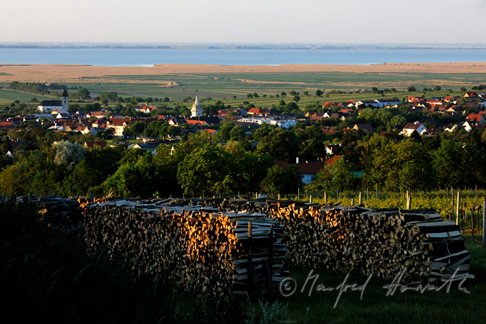 view from the Leithagebirge to Neusiedlersee