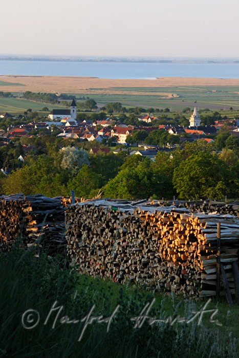 view from the Leithagebirge to Neusiedlersee