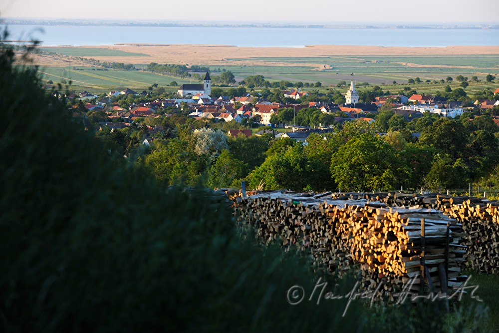 view from the Leithagebirge to Neusiedlersee