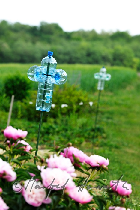 garden decoration made of plastic bottles