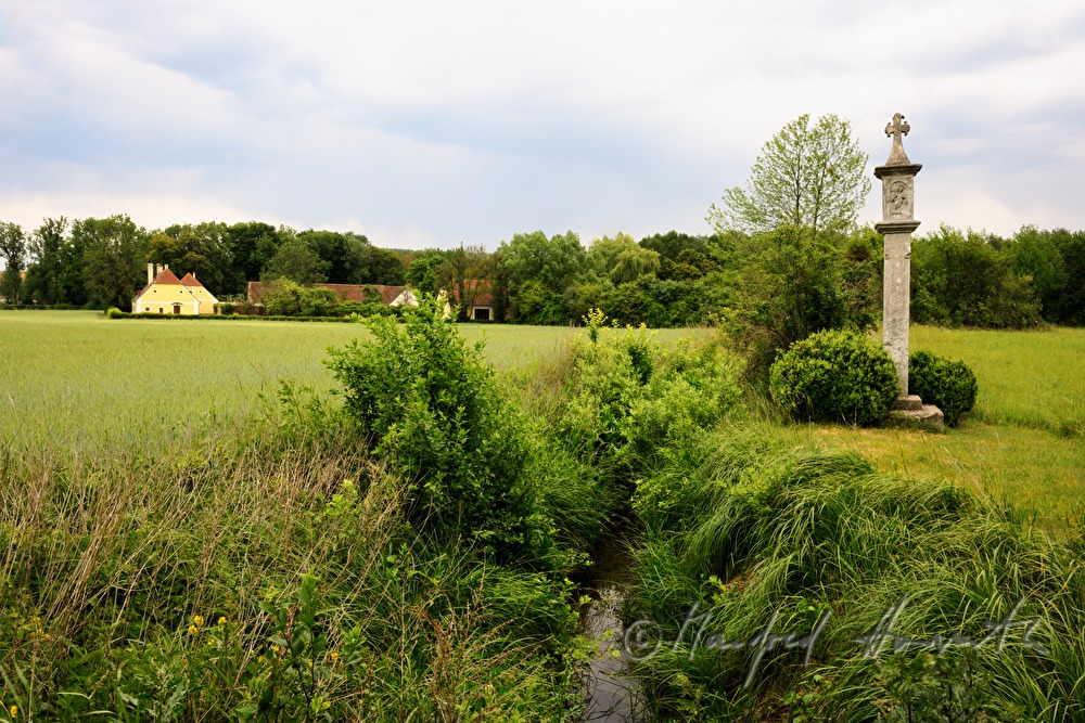 estate of Schönborn-Buchheim and corn fields
