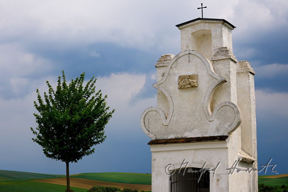 Apollonia Chapel and Leucanthemum