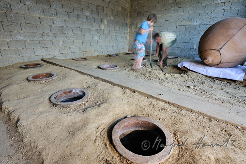 digging in an amphora for wine production