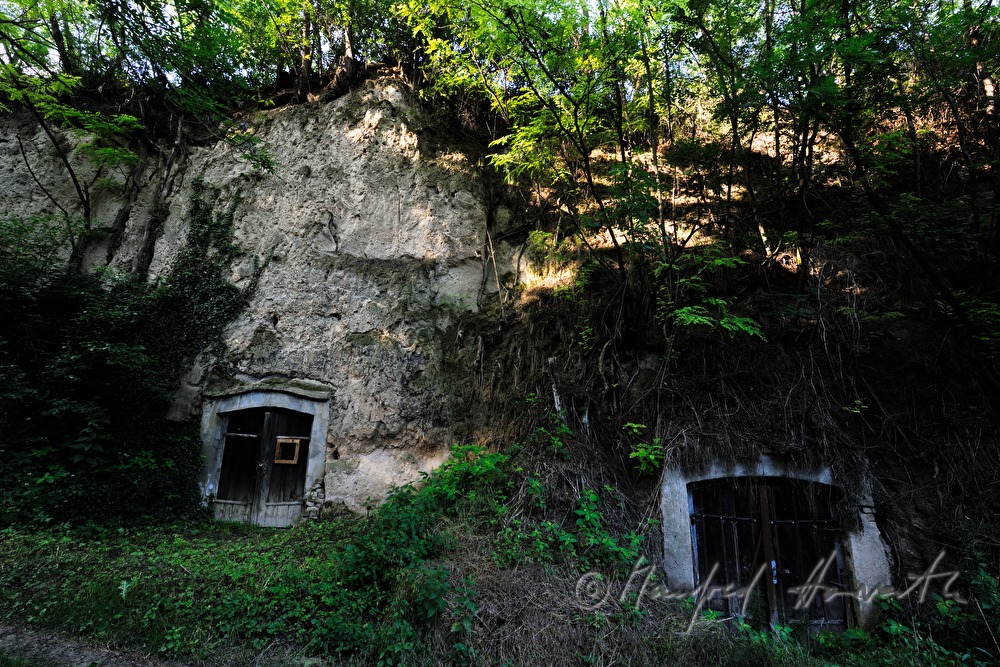 wine cellar with carvings in the clay wall and ceiling
