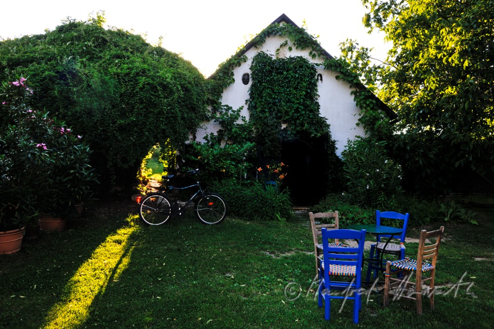 wine cellar with garden furniture