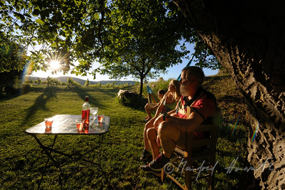 family enjoying the sunset in their garden