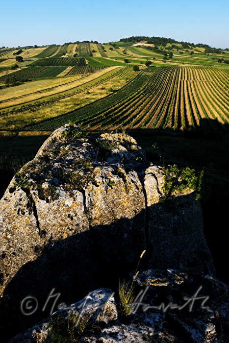 view from Hölzelstein to the Leithagebirge
