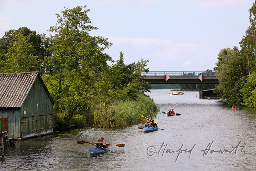 a group of kayakers float down the flood plains