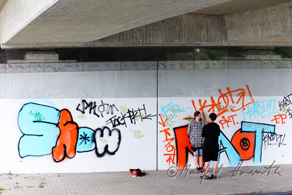 railway bridge with graffiti on the Müritz