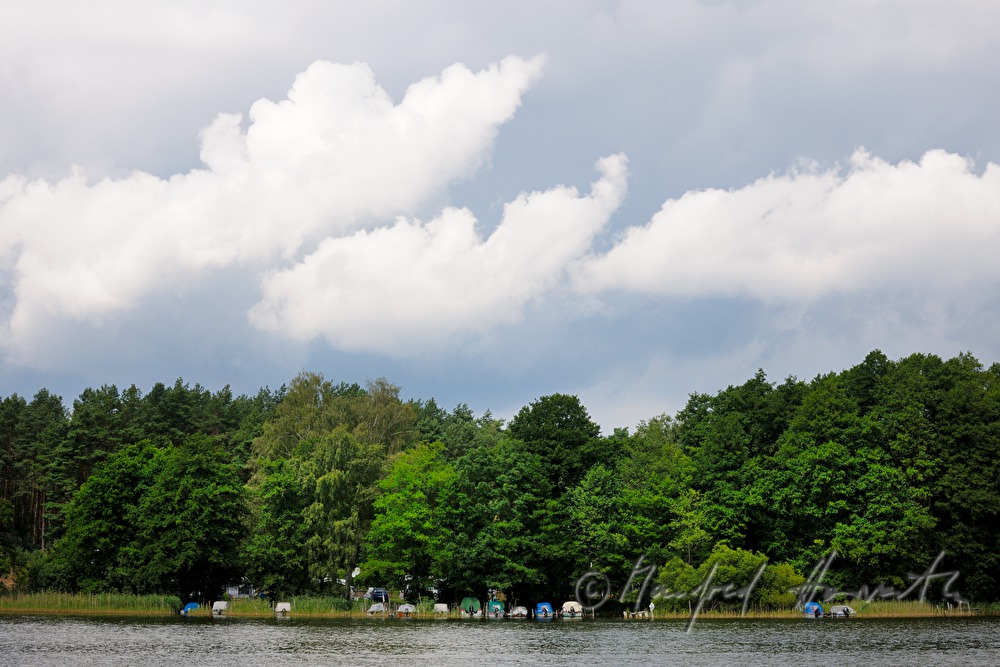 sailing boats anchoring on the shore of the Müritz
