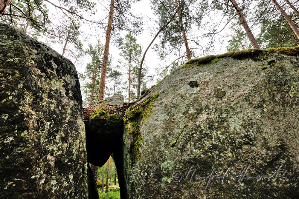 granite boulder overgrown with moss and lichen