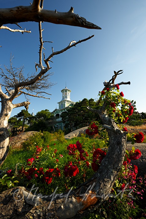 Hotel Villa Tellina ion the cliffs of the Baltic Sea