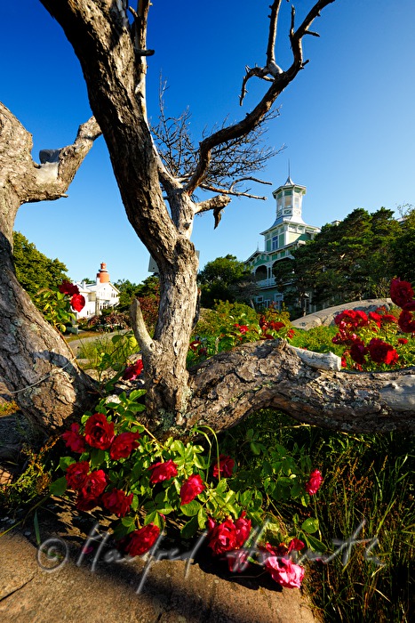 Hotel Villa Tellina ion the cliffs of the Baltic Sea