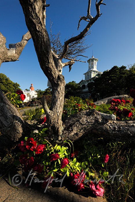 Hotel Villa Tellina ion the cliffs of the Baltic Sea
