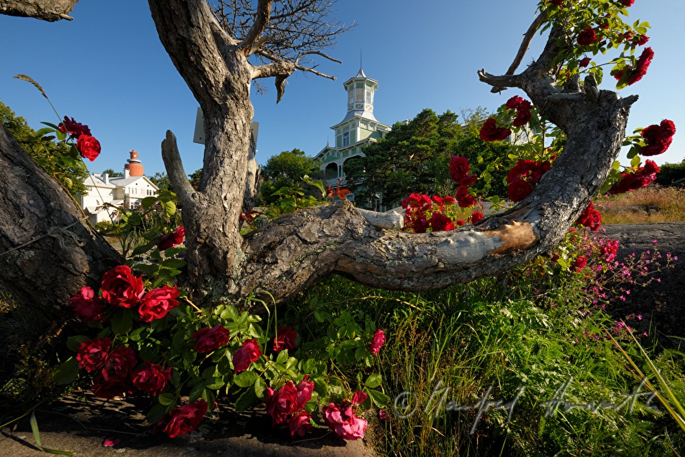 Hotel Villa Tellina ion the cliffs of the Baltic Sea