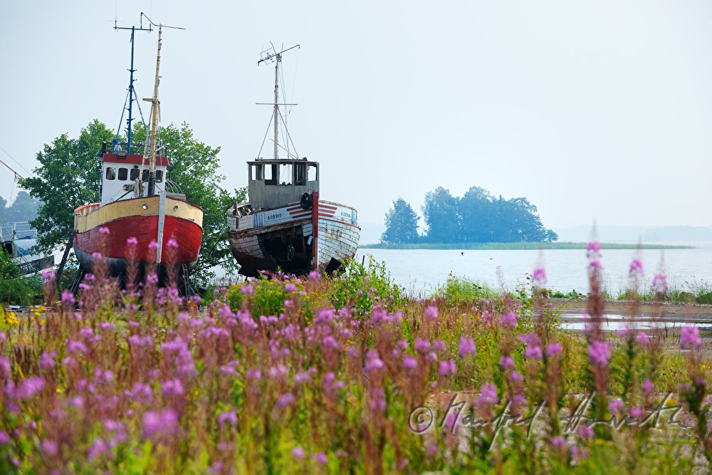 ship graveyard and small island