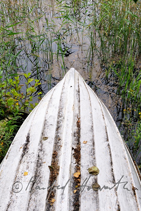 belly of a wooden rowing boat