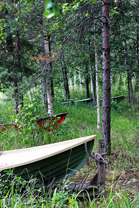 anchored rowing boats on the shore