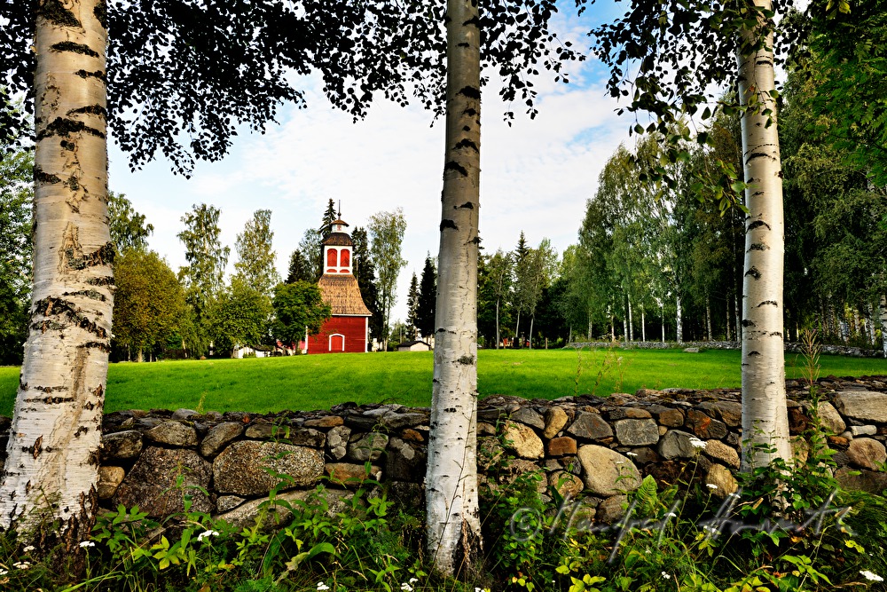 the church Kirkkoniemen kellotapuli and birches