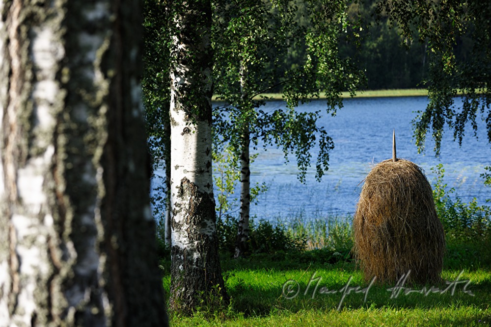 the church Kirkkoniemen kellotapuli