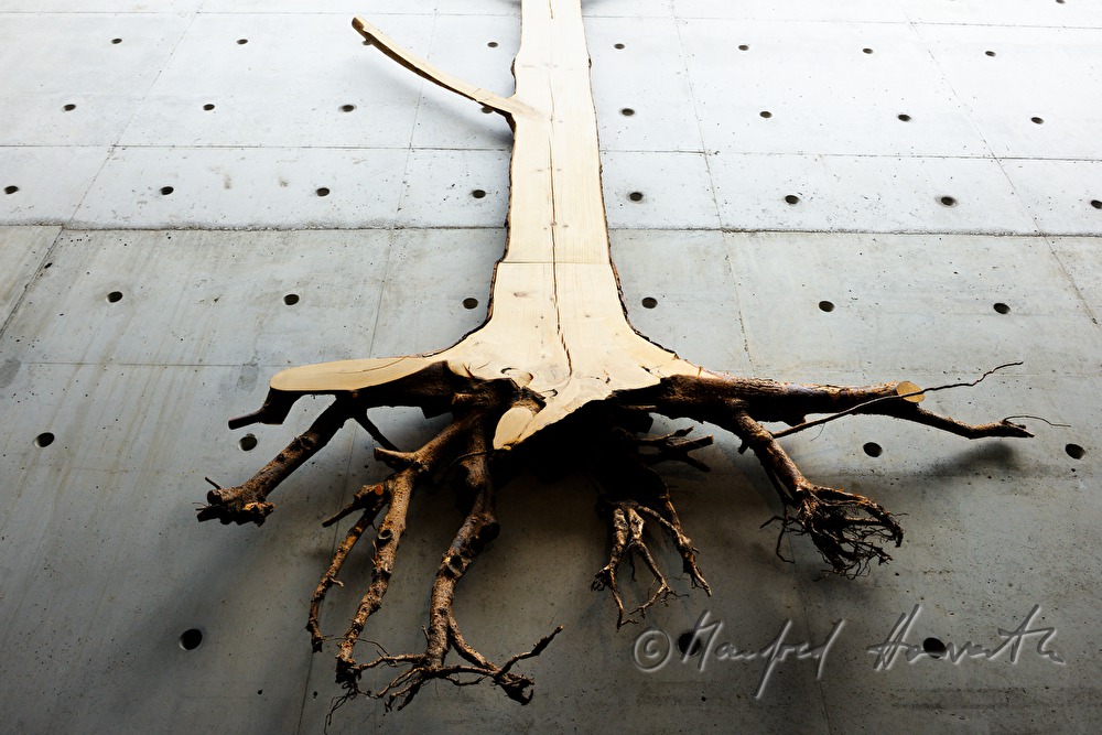 artpiece in the Finnish Forest Museum (Lusto)