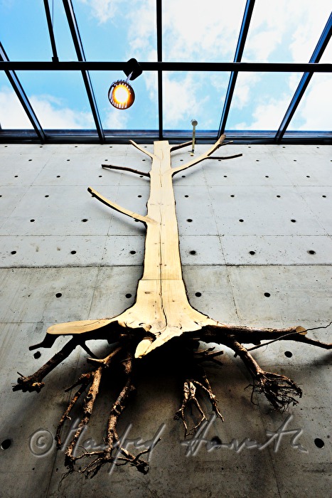 artpiece in the Finnish Forest Museum (Lusto)