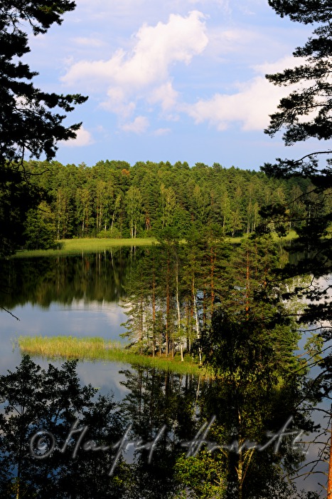 small island in the lake Pihlajavesi