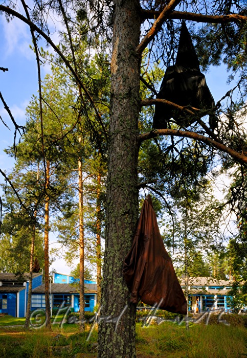 installation art: leather jacket in the tree