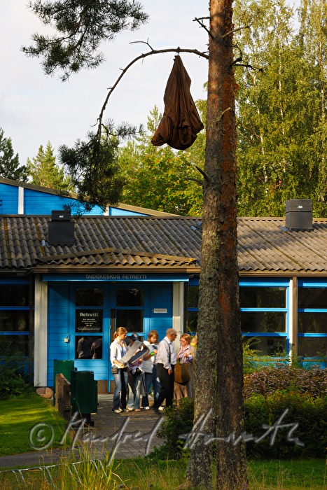installation art: leather jacket in the tree