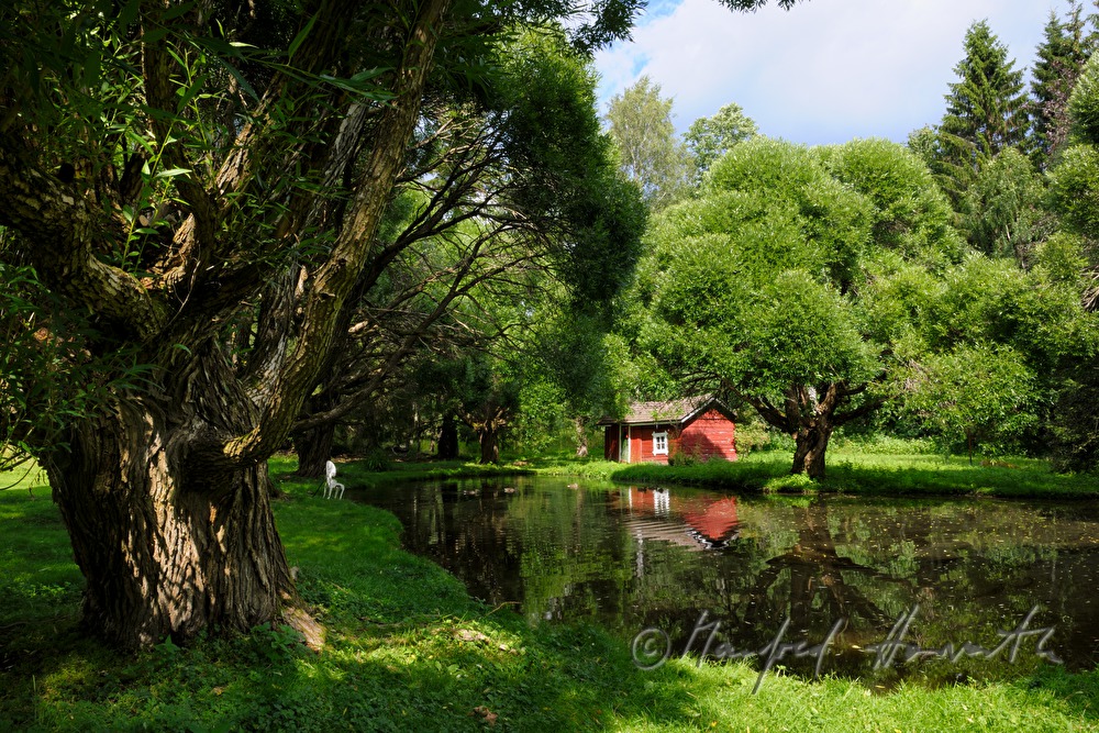 red block house near the lake surrounded by spherical willow trees