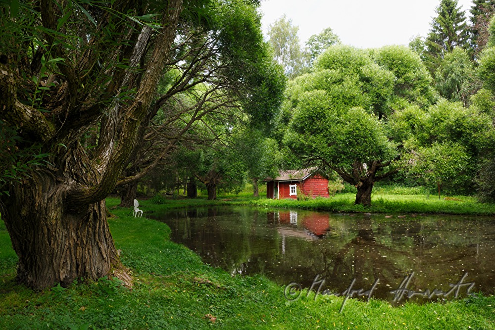 red block house near the lake surrounded by spherical willow trees