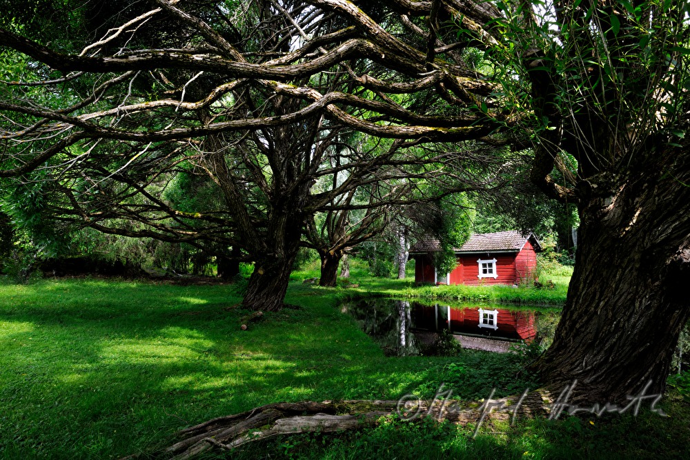 red block house near the lake surrounded by spherical willow trees