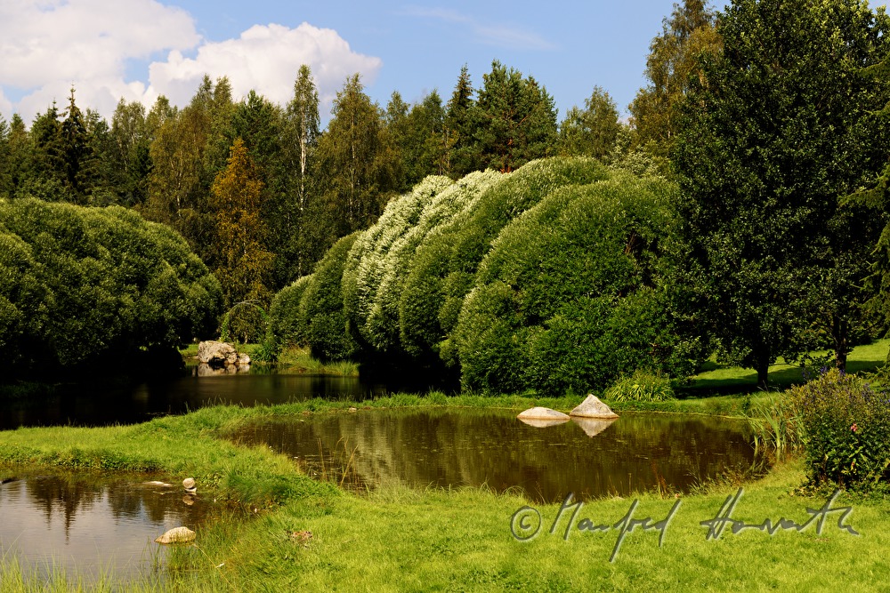 rock near the lake surrounded by spherical willow trees