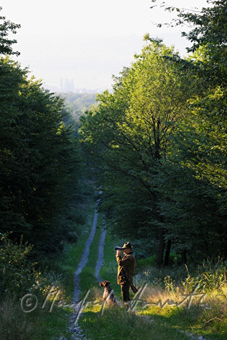hunter with hunting dog on a forest glade