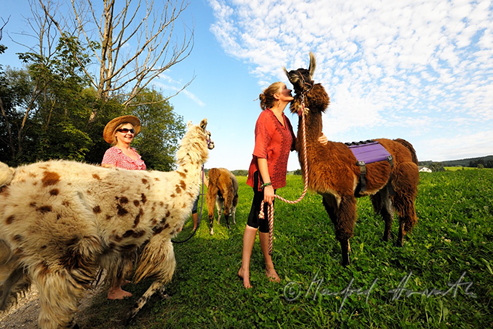 break during a lama hiking tour