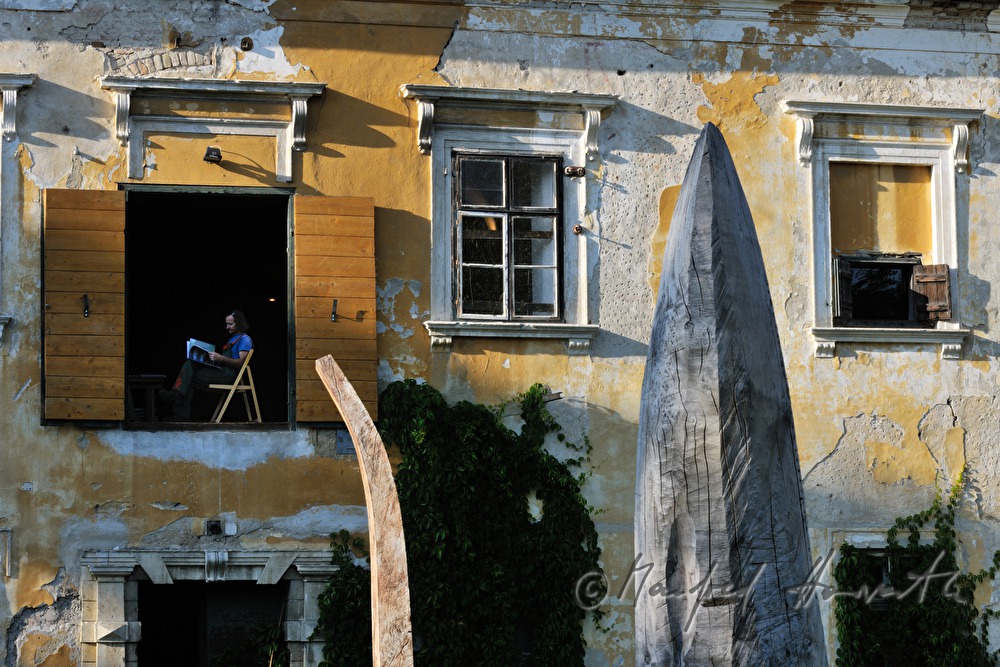 Johann Feilacher and tree-sculptures at the window of his studio